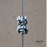 Perles Lampwork à fleurs - duo de perles rondes - fleurs  - fond noir / fleurs blanche coeur rouge, vert d'eau